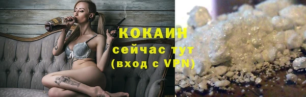твердый Белокуриха