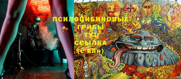 первитин Богородицк