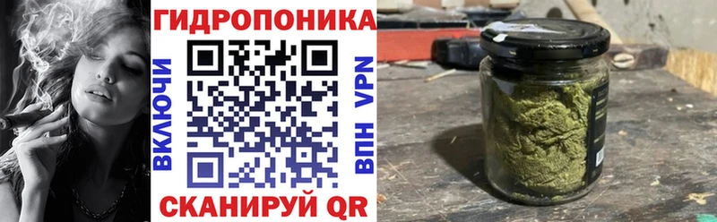Шишки марихуана Amnesia Большой Камень